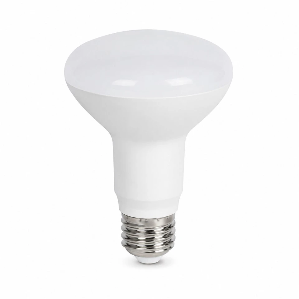 Bola Lampu Sorot LED
